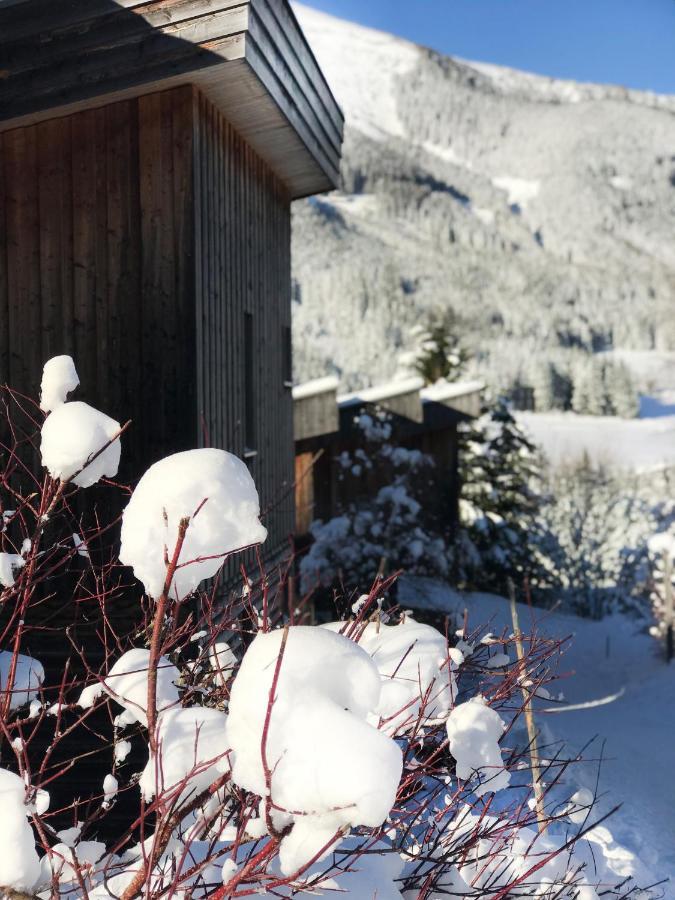 Chalet Sternwarte Hohentauern Buitenkant foto