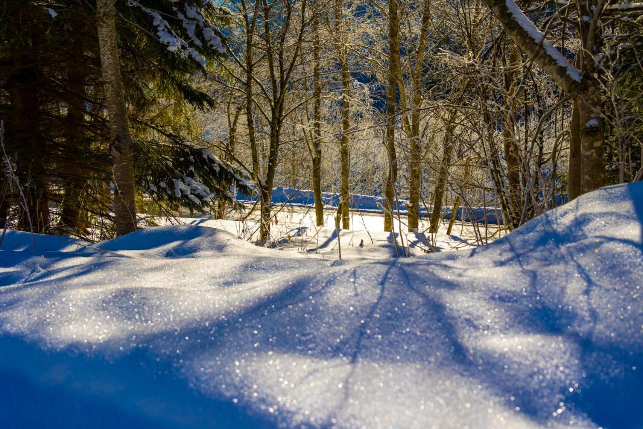 Chalet Sternwarte Hohentauern Buitenkant foto